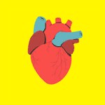 CVRM (Cardiometabolic, Renal & Metabolism)